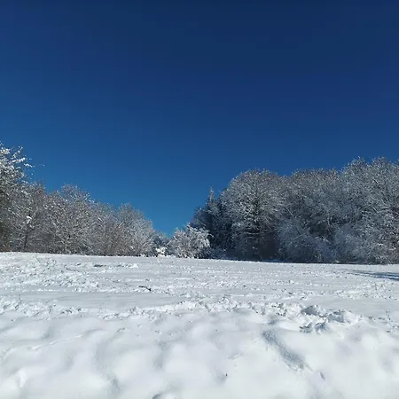 Mas Jourdane En Languedoc Дом отдыха *