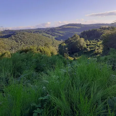 Mas Jourdane En Languedoc Angles (Midi-Pyrenees)