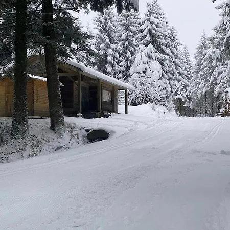 Mas Jourdane En Languedoc Angles (Midi-Pyrenees)