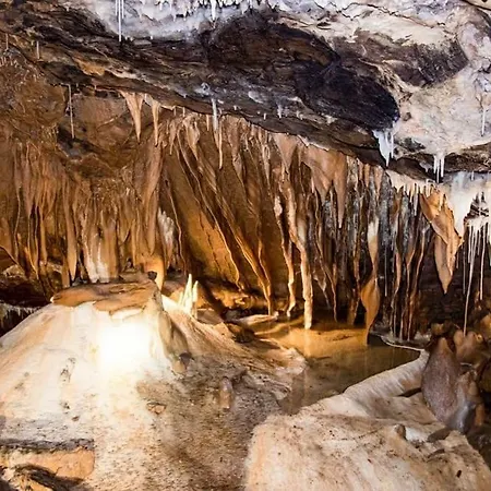 Mas Jourdane En Languedoc * Angles (Midi-Pyrenees)